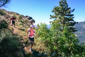 BIB: 
                            <button type="button" onclick="openModal(26599801)" class="btn btn-primary btn-sm float-right btn-popup" data-toggle="modal" data-target=".modal-high-quality">
                        <i class="fas fa-shopping-cart"></i> Add to Cart
                    </button>
                                            <button type="button" onclick="isThisMe(26599801, true)" class="btn btn-success btn-sm float-right btn-popup btn-isme hidden" data-toggle="tooltip" data-placement="bottom" title="นี่คือรูปของคุณใช่ไหม คลิกที่นี่เพื่อเอาเข้าอัลบั้ม">
                        <i class="fas fa-plus"></i> Add to album
                    </button>
                    <button type="button" onclick="isThisMe(26599801, false)" class="btn btn-warning btn-sm float-right btn-popup btn-isnotme hidden">
                        <i class="fas fa-ban"></i> Remove from album
                    </button>